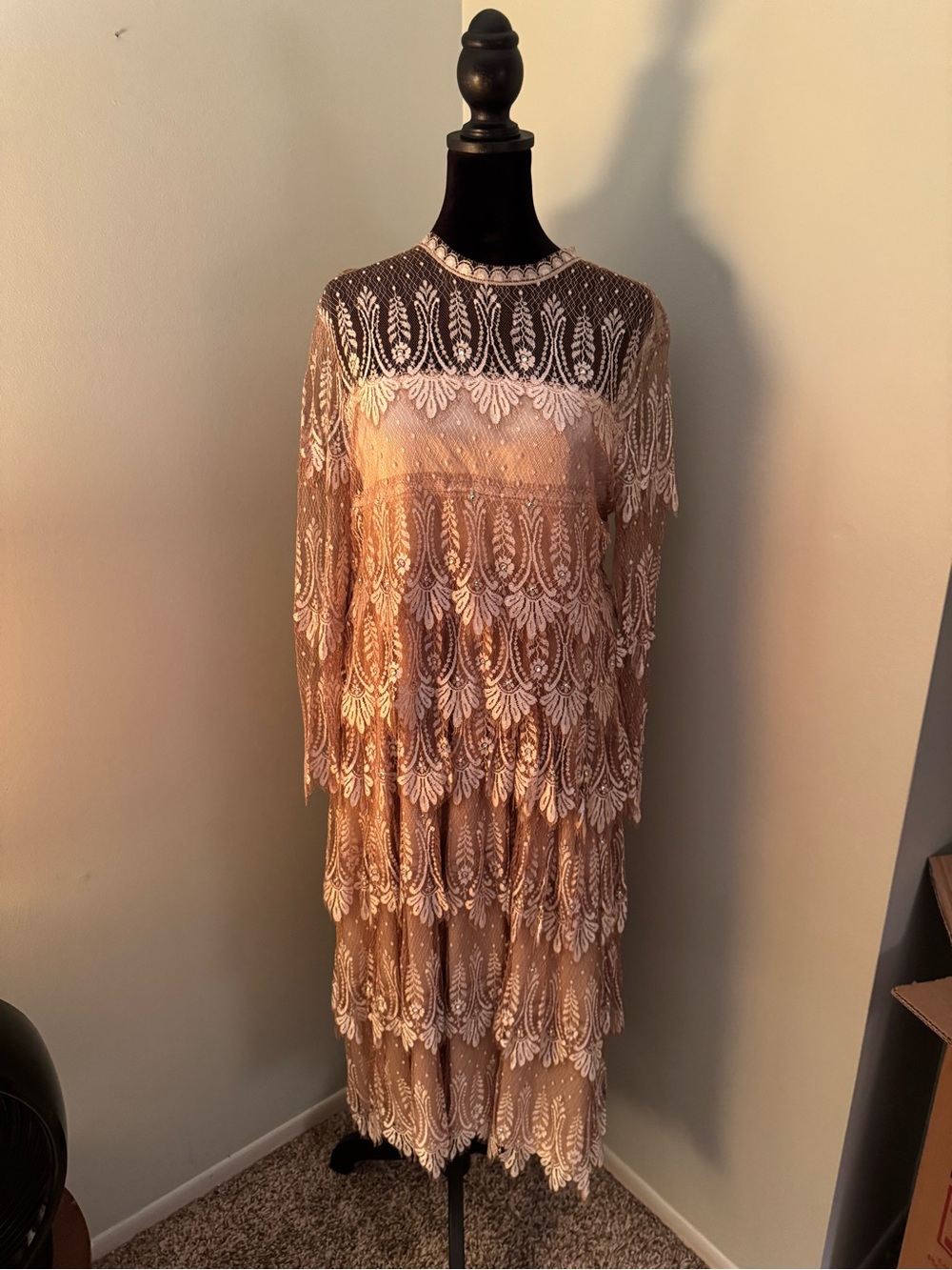 Rina diMontella Layered Blush Lace Long-Sleeve Dress